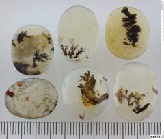 Foto von Quarz (Chalcedon, Achat, Dendritenachat/Mokkastein) (NHMW-MIN-Ay871)